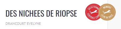 Des Nichées De Riopse - 2023 Elevage Sélectionné par la SCC